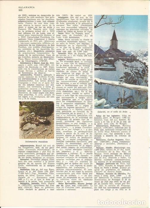 Postkarten: LAMINA 24812: Vista de Salardu y salamandra maculosa - VVAA