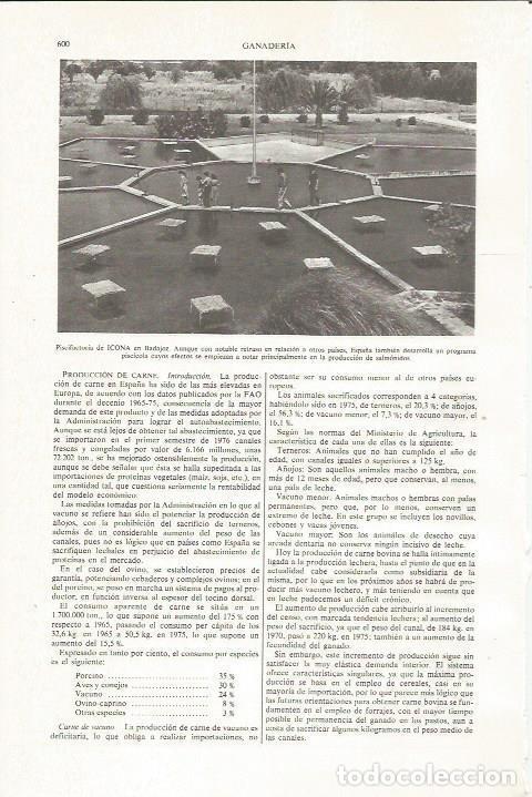Postcards: LAMINA ESPASA 36053: Piscifactoria de ICONA en Badajoz - Varios