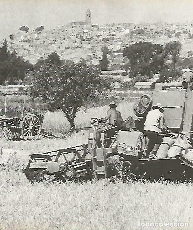 Postales: LAMINA 4392-64: Cervera, Lleida - Josep Pla