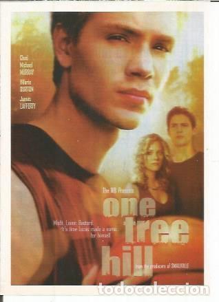 Cartes Postales: Miniposter 0564: One tree hill - Varios