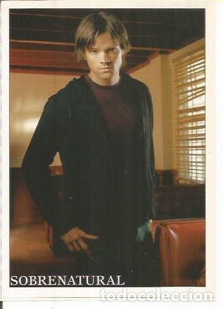 Cartes Postales: Miniposter 0551: Jared Padalecki - Varios