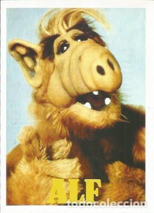 Postais: Miniposter 0948: Alf - Varios