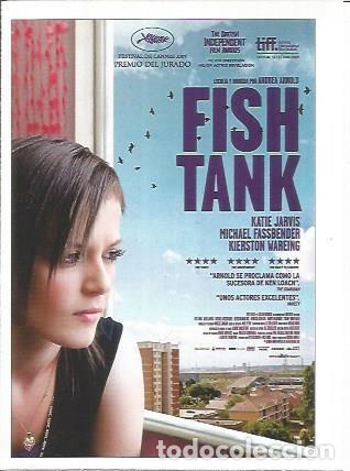 Postcards: Miniposter 0817: Fish Tank - Varios