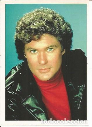 Cartes Postales: Miniposter 0116: David Hasselhoff - Varios