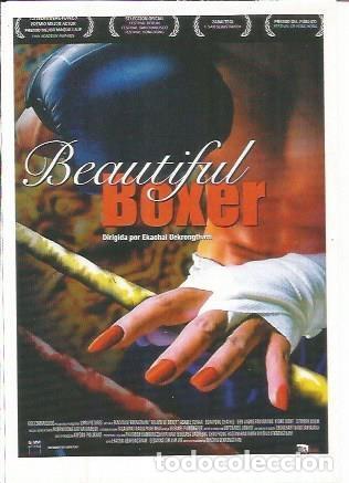Postais: Miniposter 0454: Beautiful Boxer - Varios