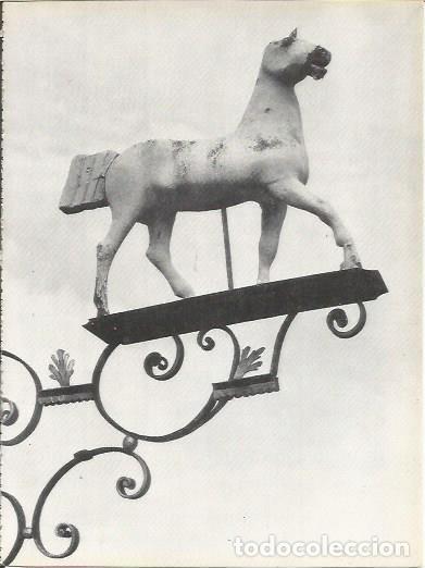 Postais: LAMINA 25027: Petit Cheval en Zurich - Werner Kampfen