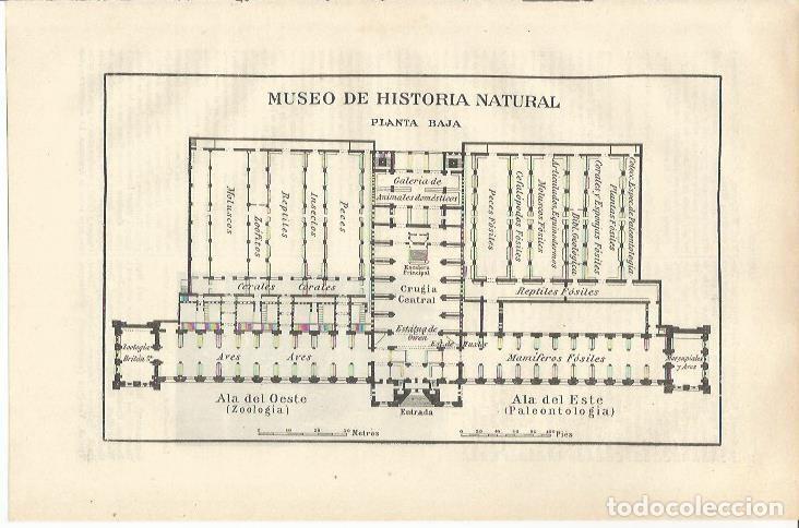 Postais: LAMINA ESPASA 37124: Plano del Museo de Historia Natural de Londres - Varios