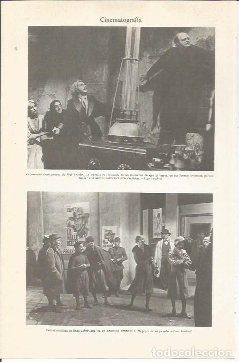 Postales: LAMINA ESPASA 36778: Escena de El jovencito Frankenstein y Amarcond - Varios