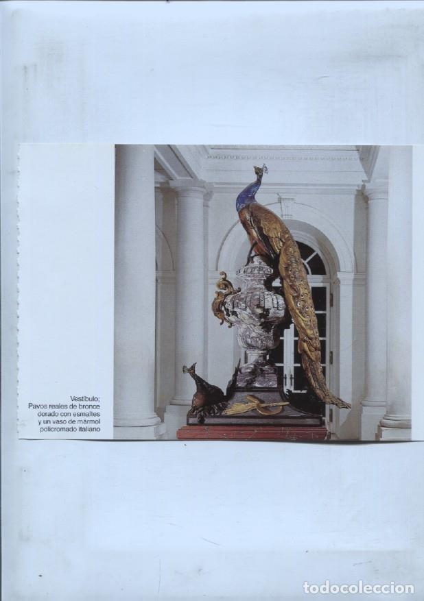 Cartes Postales: lamina souvenir del palacio Herrenchiemsee: Pavo real en el vestibulo palacio y escalera de los emba