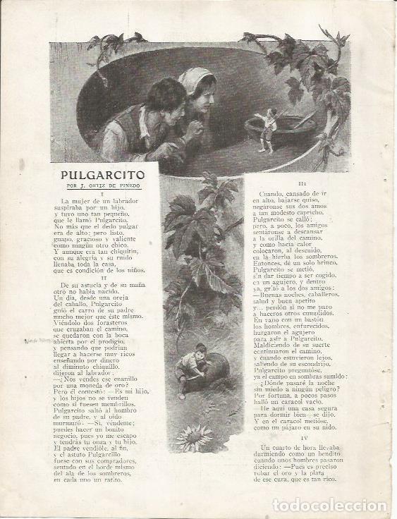 Postcards: LAMINA 25748: Ilustracion de Regidor - Varios