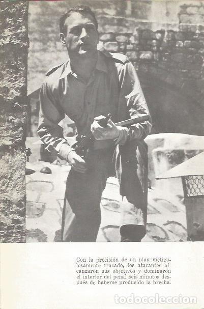 Postkarten: LAMINA 25353: Paul Newman en Exodus - Varios