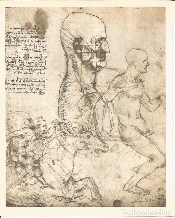 Postais: LAMINA 25393: Estudios, por Leonardo da Vinci - M. Lenzini y E. Micheletti