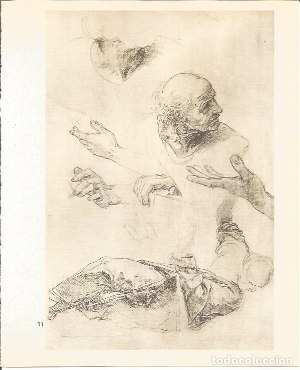 Cartoline: LAMINA 25396: Estudio para la Dispusta, por Raffaello - M. Lenzini y E. Micheletti