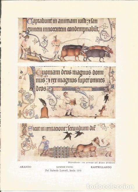 Cartoline: LAMINA 25490: Sembrando, por S. Luttrell - Sir E. John Russell