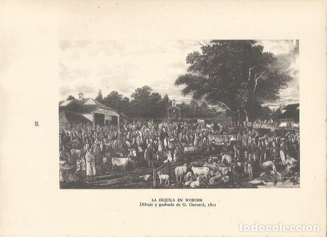 Cartes Postales: LAMINA 25502: La esquila en Woburn, por G. Garrard - Sir E. John Russell