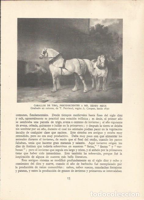 Cartes Postales: LAMINA 25497: Caballos de tiro de Mr. Henry Meux, por T. Fairland - Sir E. John Russell