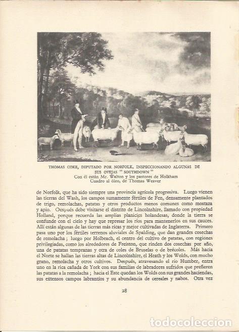 Postais: LAMINA 25493: Thomas Coke inspeccionando ovejas, por T. Weaver - Sir E. John Russell