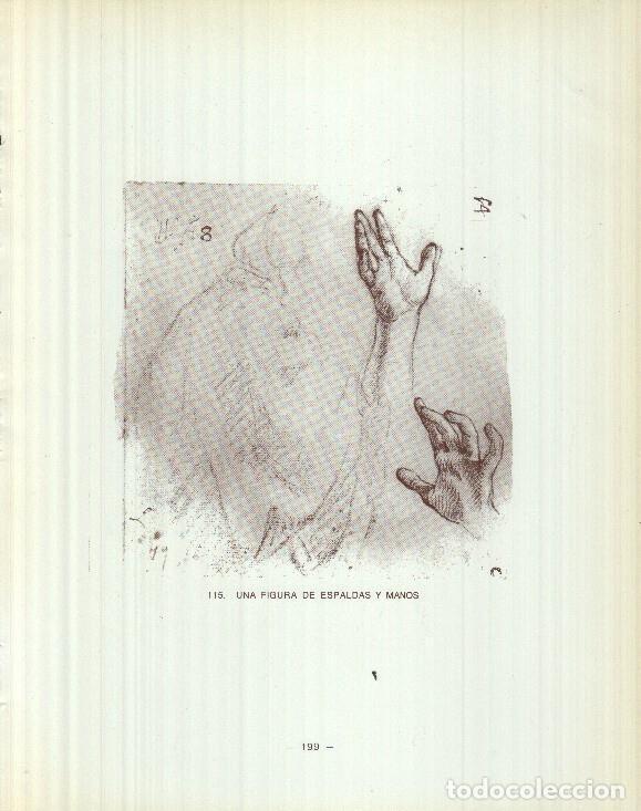 Cartes Postales: Dibujos de los siglos XVI y XVII: 115/116: Figura de espaldas y manos + Dos piernas - Reyes Duran