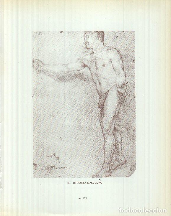 Cartes Postales: Dibujos de los siglos XVI y XVII: 26/27: Desnudo masculino + Proyecto para un techo - Reyes Duran