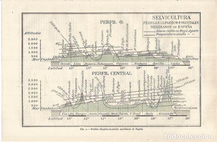 Postais: LAMINA ESPASA 37090: Perfiles climaticos forestales meridianos de Espa&ntilde;a - Varios