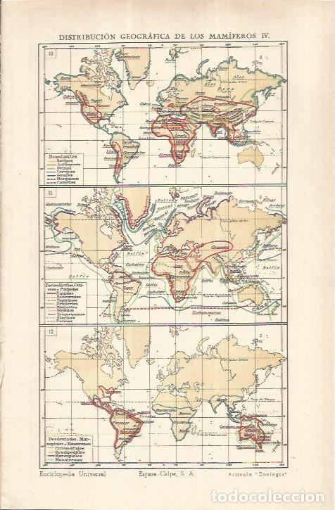 Postcards: LAMINA ESPASA 37035: Mapamundi de la distribucion de rumiantes - Varios