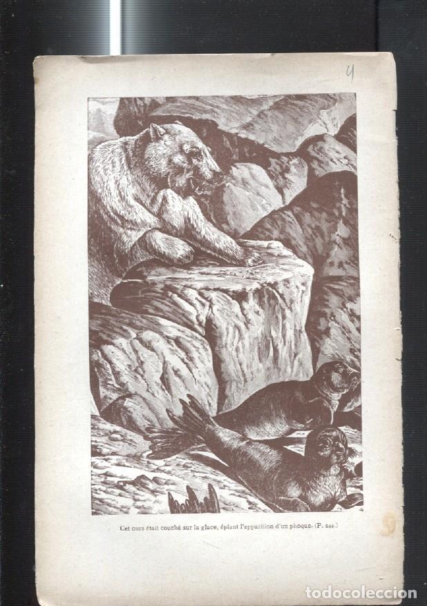 Cartoline: Hoja numero 04 con ilustracion de la obra J.Bellot -