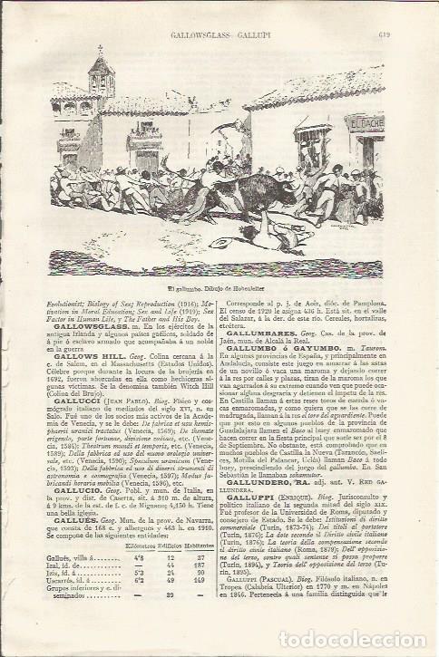 Cartes Postales: LAMINA ESPASA 37505: El gallumbo, fibujo de Hohenleiter - Varios