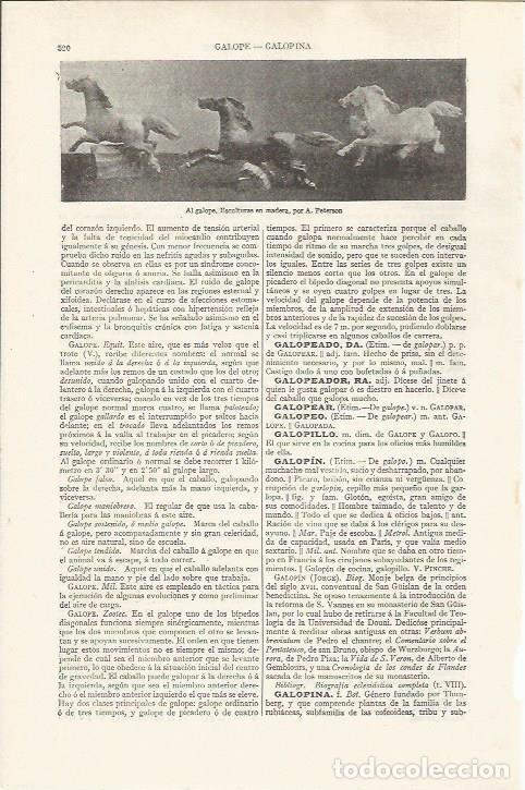 Postales: LAMINA ESPASA 37489: Al galope, esculturas por A. Peterson - Varios