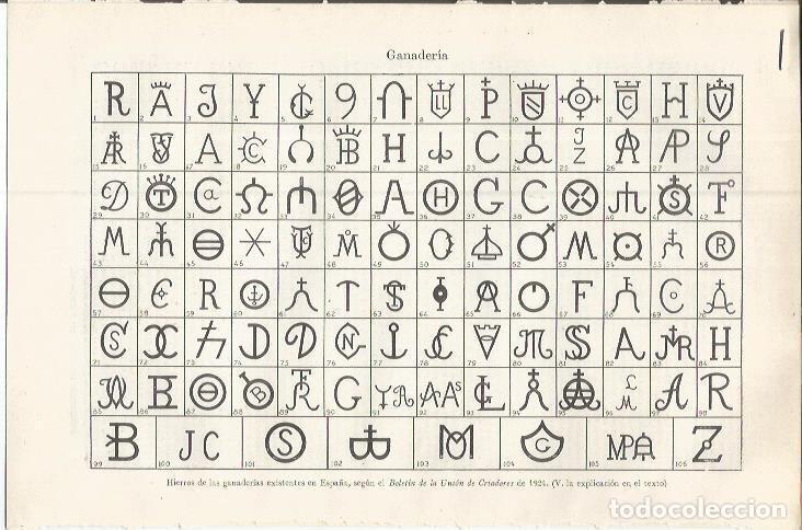 Postales: LAMINA ESPASA 37515: Hierros de ganaderias de Espa&ntilde;a - Varios