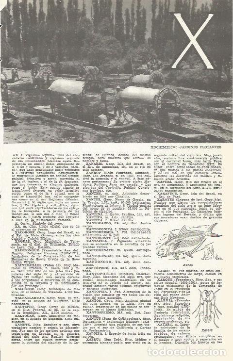 Postales: LAMINA 51635: Jardines flotantes de Xocheimilco - VVAA