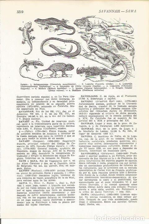 Postales: LAMINA 51563: saurio - VVAA