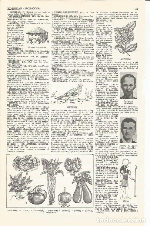 Postais: LAMINA 51652: Tipos de hortalizas - VVAA