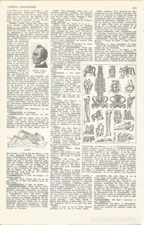 Postales: LAMINA 51675: Ligamentos articulares - VVAA