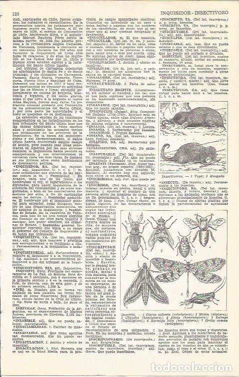 Postales: LAMINA 51658: Especies de insectos - VVAA