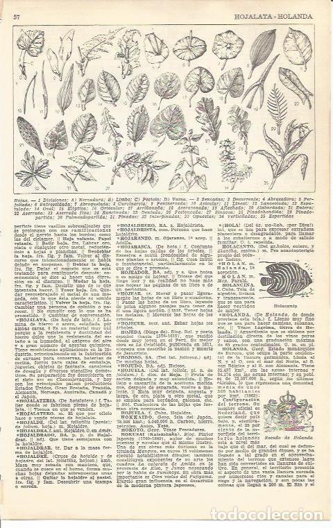 Postales: LAMINA 51647: Tipos de hojas - VVAA