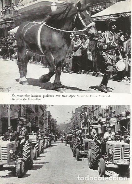 Postales: LAMINA 51428: Feria Anual del Ganado en Granollers, Barcelona - M. Bartolome Lopez