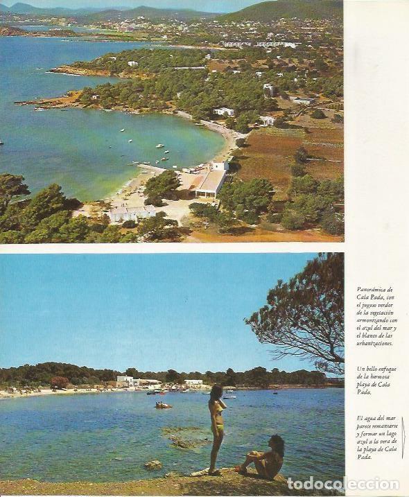 Postcards: LAMINA 26449: Cala Pada, Ibiza - VVAA