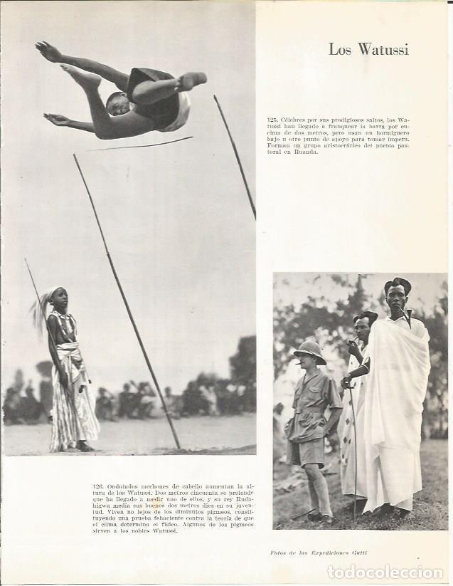 Postkarten: LAMINA 26398: Los Watussi - Edward Weyer, Jr