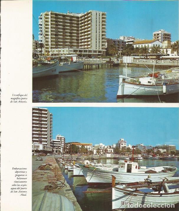 Postkarten: LAMINA 26461: Puerto de San Antonio, Ibiza - VVAA