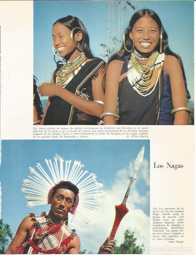 Postkarten: LAMINA 26407: Los Nagas - Edward Weyer, Jr