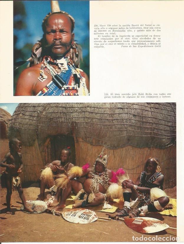 Postkarten: LAMINA 26401: Hombres Zulu - Edward Weyer, Jr