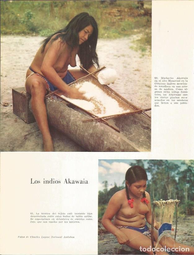 Postkarten: LAMINA 26376: Los Akawaia - Edward Weyer, Jr