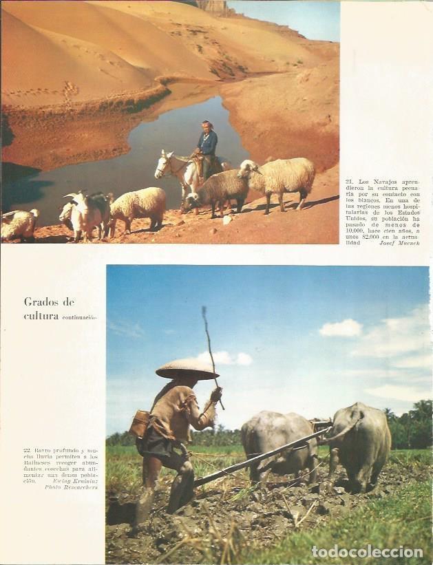 Postkarten: LAMINA 26365: Los Navajos y Balineses - Edward Weyer, Jr