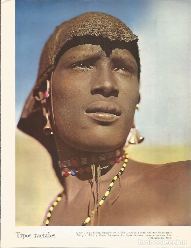 Postkarten: LAMINA 26360: Los Masai - Edward Weyer, Jr