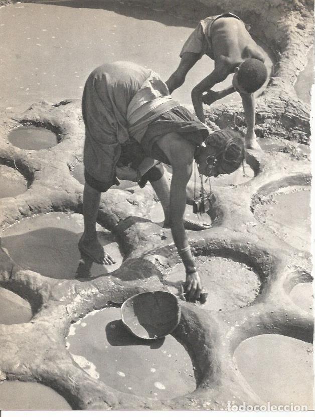 Postales: LAMINA 26386: Evaporacion de agua salina en Teguidda-n-Tisent - Edward Weyer, Jr