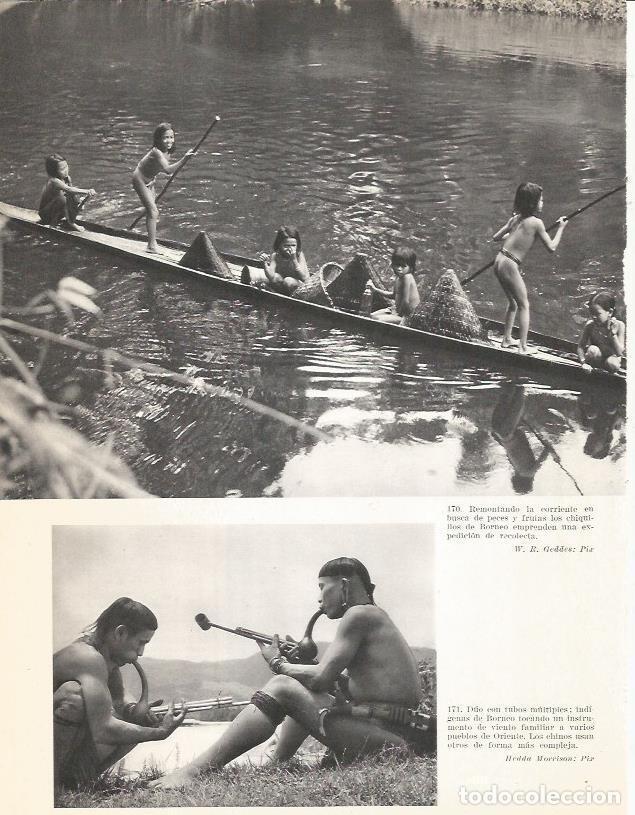 Cartes Postales: LAMINA 26411: Ni&ntilde;os de Borneo - Edward Weyer, Jr