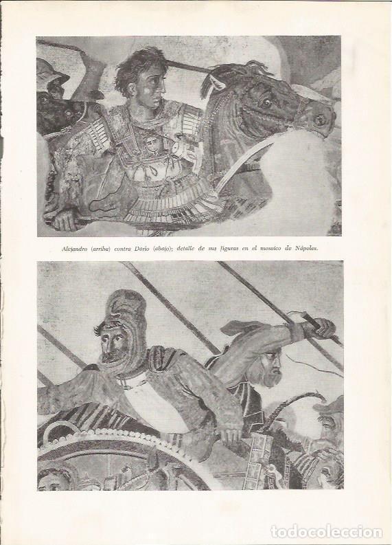 Cartoline: LAMINA HISTORIA 26191: Fresco con la imagen de Alejandro Magno - VVAA