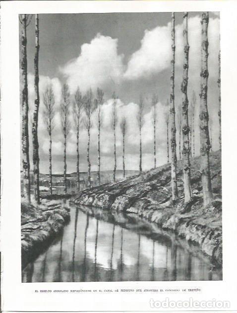 Postales: LAMINA 26513: Canal de Pedruzo - Pio Baroja