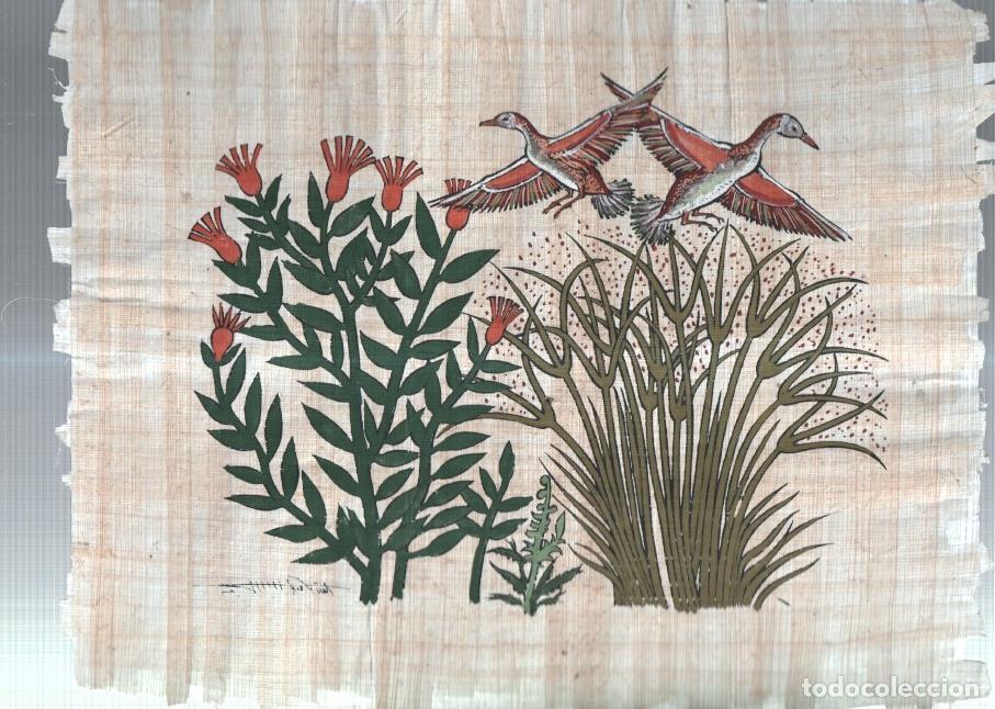 Cartes Postales: PERGAMINO Egipcio de ESCENA NILOTICA (Souvenir-Reproduccion) - Varios
