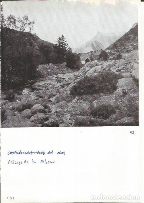 Cartoline: LAMINA 27033: Paisaje de la Ribera - VVAA
